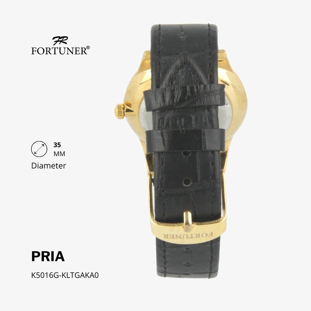 Fortuner Jam Tangan Analog Pria Water Resistant Silver Gold Kulit Hanoch